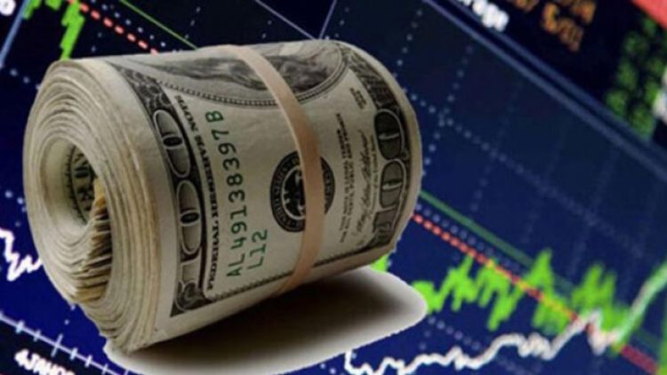 Piyasalarda panik haftası, dolar çıktı, borsa çakıldı