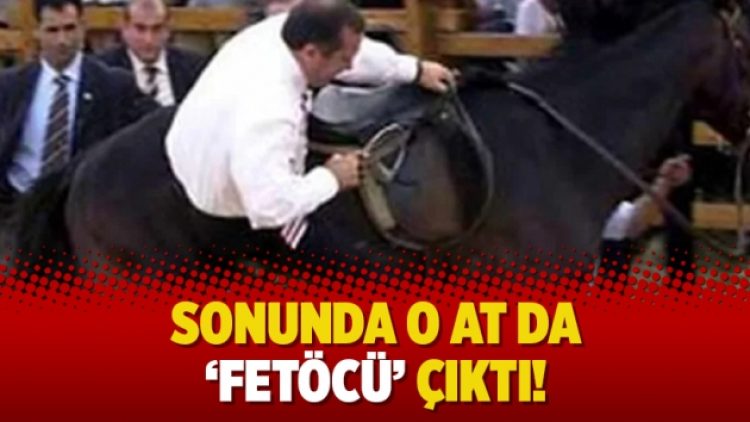 Sonunda o at da ‘Fetöcü’ çıktı!