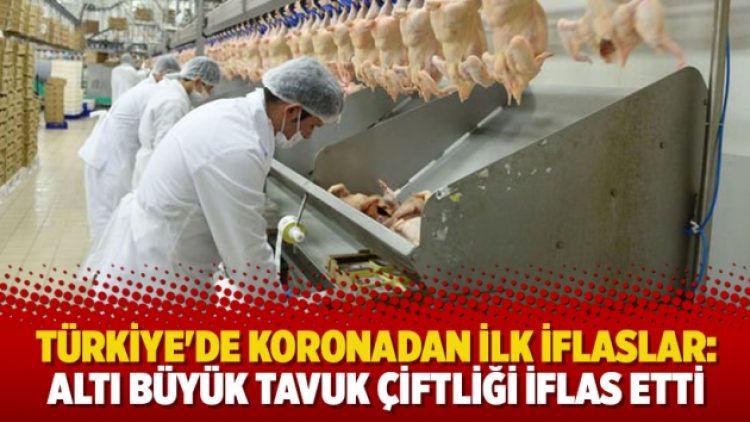Türkiye’de koronadan ilk iflaslar: Altı büyük tavuk çiftliği iflas etti