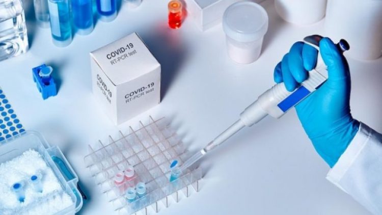 Koronavirüs tahlillerini gizlediler, karantinayı engellediler