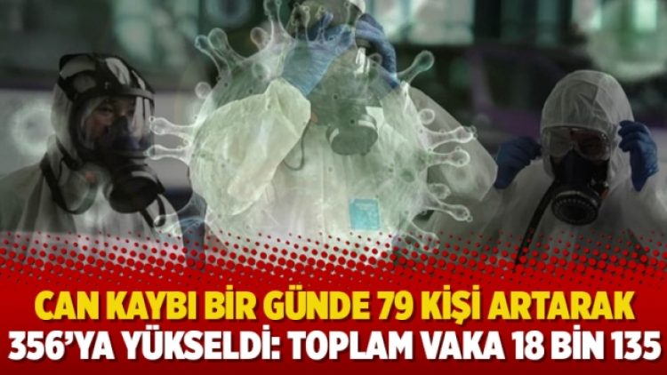 Can kaybı bir günde 79 kişi artarak 356’ya yükseldi: Toplam vaka 18 bin 135