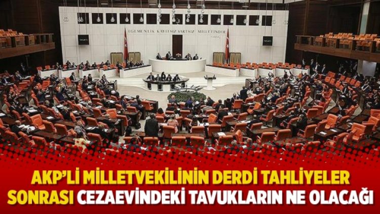 AKP’li milletvekilinin derdi tutuklular değil tahliyeler sonrası cezaevindeki tavukların ne olacağı