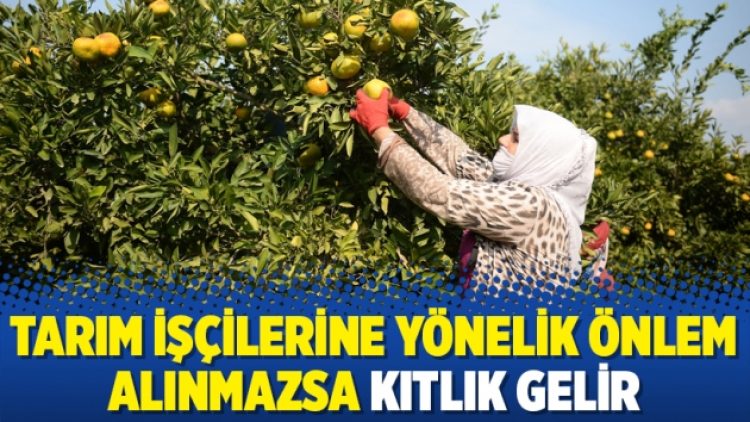 Tarım işçilerine yönelik önlem alınmazsa kıtlık gelir