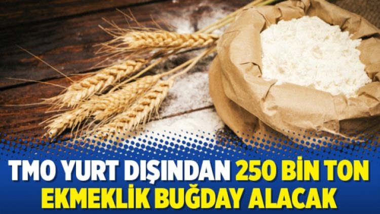 TMO yurt dışından 250 bin ton ekmeklik buğday alacak