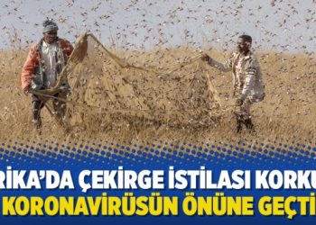 Afrika’da çekirge istilası korkusu koronavirüsün önüne geçti