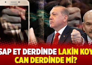 Kasap et derdinde lakin koyun can derdinde mi?