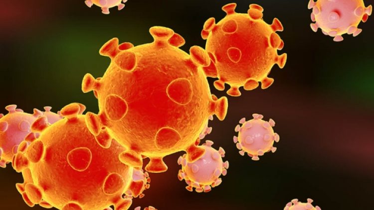 Brezilyalı bilim insanları Koronavirüs’ün fotoğrafını çekti