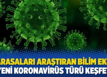 Yarasaları araştıran bilim ekibi 6 yeni Koronavirüs türü keşfetti