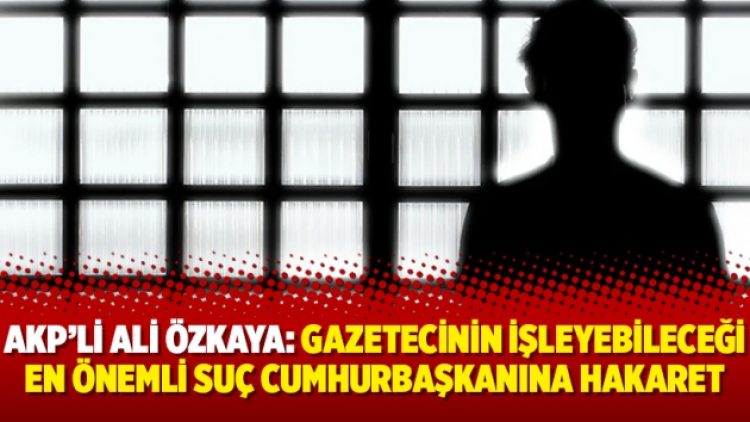 AKP’li Ali Özkaya: Gazetecinin işleyebileceği en önemli suç Cumhurbaşkanına hakaret