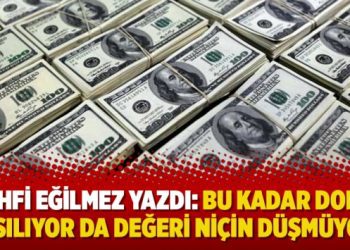 Mahfi Eğilmez yazdı: Bu kadar dolar basılıyor da değeri niçin düşmüyor?