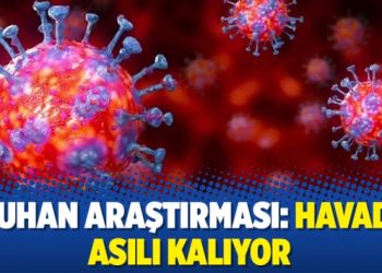 Wuhan araştırması: Havada asılı kalıyor