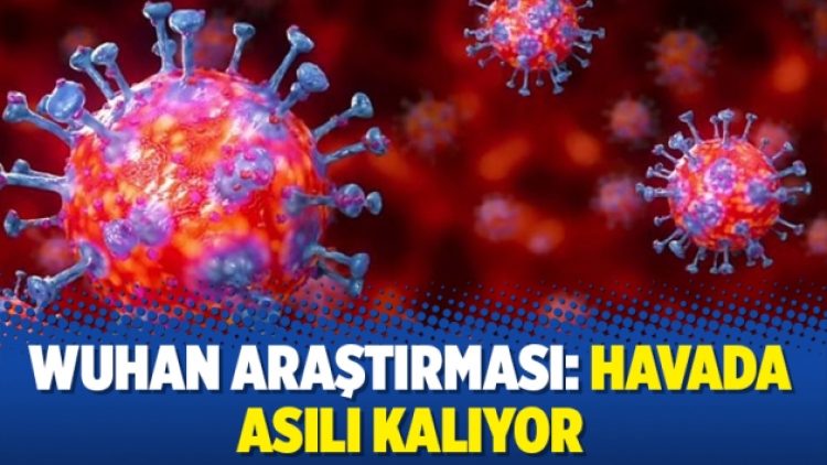 Wuhan araştırması: Havada asılı kalıyor
