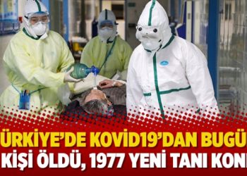 Türkiye’de Kovid19’dan bugün 57 kişi öldü, 1977 yeni tanı kondu