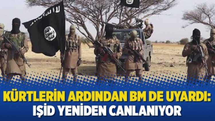 Kürtlerin ardından BM de uyardı: IŞİD yeniden canlanıyor