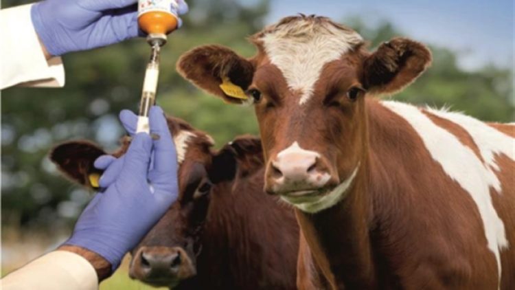 17 mahalle karantina altında: Bu kez sebep korona değil