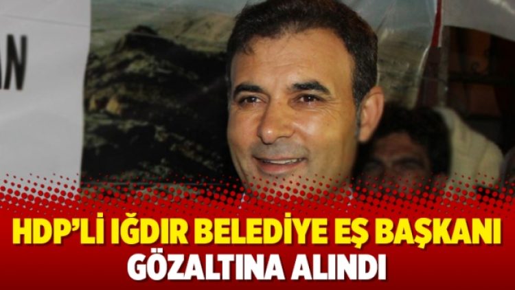 HDP’li Iğdır Belediye Eş Başkanı gözaltına alındı