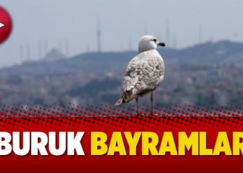 “Buruk bayramlar”