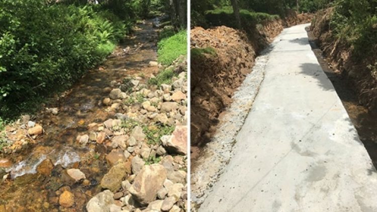 Dere yatağına beton döktüler: ‘Vazgeçilmez iki kutsal beton ve para’