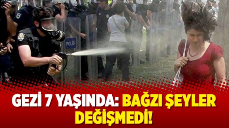 Gezi 7 yaşında: Bağzı şeyler değişmedi!