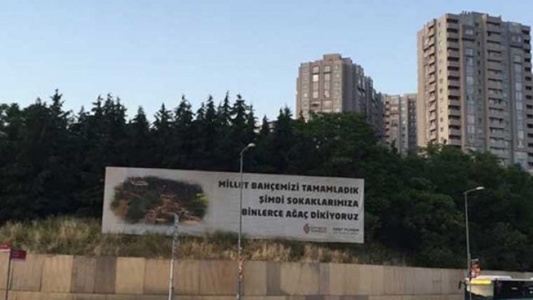 “Ağaç dikiyoruz” tabelasının arkasındaki ağaçlar konut projesi için söküldü