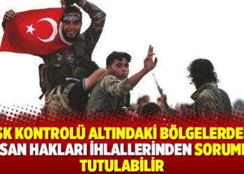 TSK kontrolü altındaki bölgelerdeki insan hakları ihlallerinden sorumlu tutulabilir