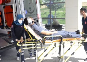 Postacıyı korktuğu köpek değil sahibi ısırdı!