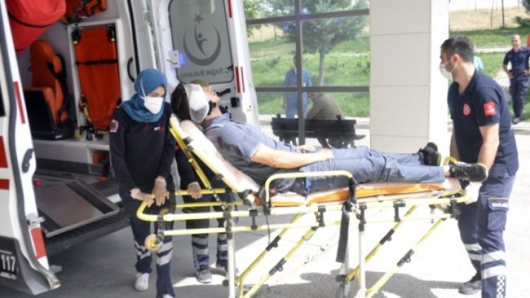 Postacıyı korktuğu köpek değil sahibi ısırdı!