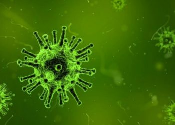 IMDb puanına göre en iyi virüs ve salgın dizileri