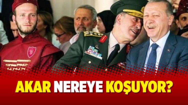 Akar nereye koşuyor?