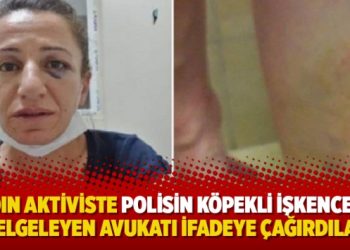 Kadın aktiviste polisin köpekli işkencesini belgeleyen avukatı ifadeye çağırdılar