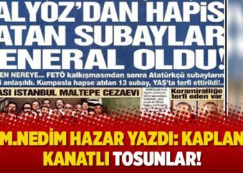 M.Nedim Hazar yazdı: Kaplan kanatlı tosunlar!