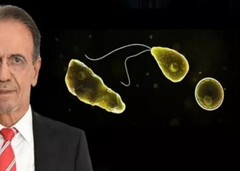 Prof. Dr. Ceyhan: Beyin yiyen amip vakası Türkiye’de de görüldü