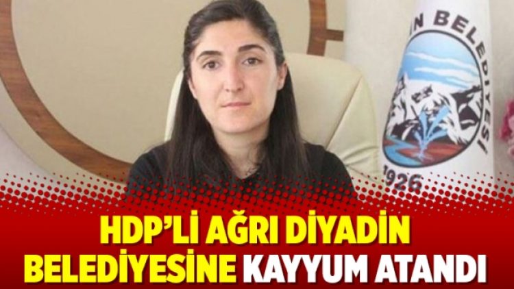 HDP’li Ağrı Diyadin Belediyesine kayyum atandı