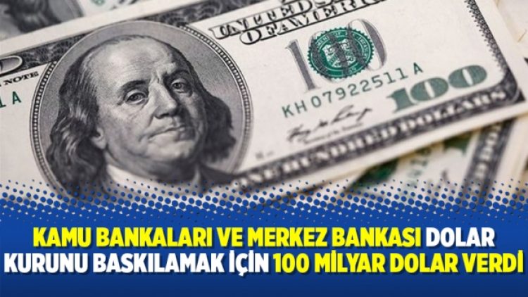Kamu bankaları ve Merkez Bankası dolar kurunu baskılamak için 100 milyar dolar verdi