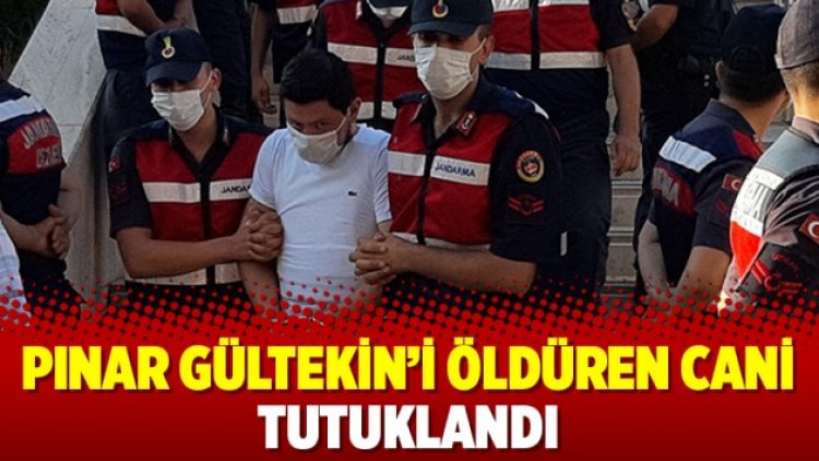 Pınar Gültekin’i öldüren cani tutuklandı