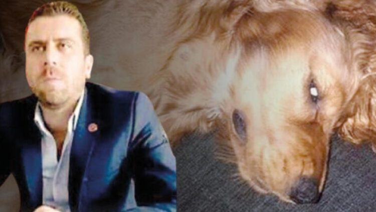 Köpek tecavüzcüsü Kızıl Elma Teşkilatı Başkanı Volkan Uzun tutuklandı
