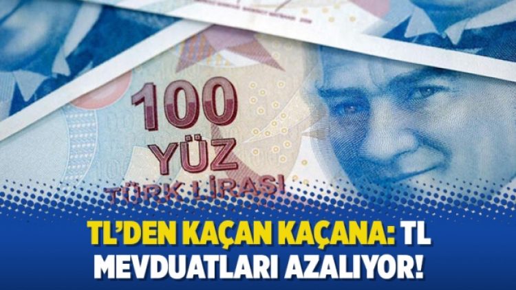 TL’den kaçan kaçana: TL mevduatları azalıyor!