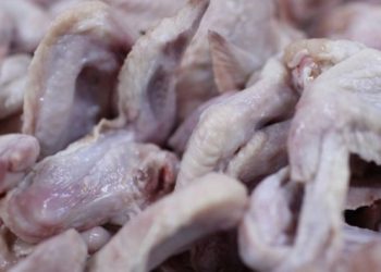 Tavuk kanadında koronavirüs çıktı