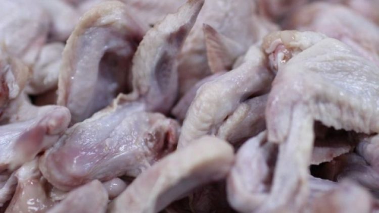 Tavuk kanadında koronavirüs çıktı