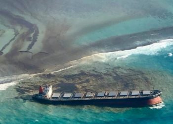 Hint Okyanusu’ndaki Mauritius Adası’nda çevre felaketi