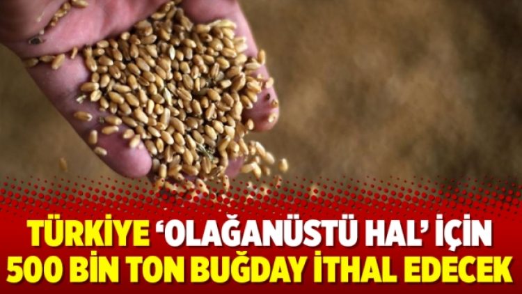 Türkiye ‘olağanüstü hal’ için 500 bin ton buğday ithal edecek