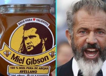 Mel Gibson, ‘Miel Gibson’ balına izin vermedi!