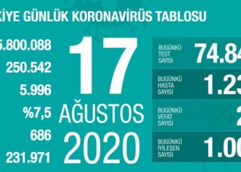 Vaka sayısı 250 bini geçti!