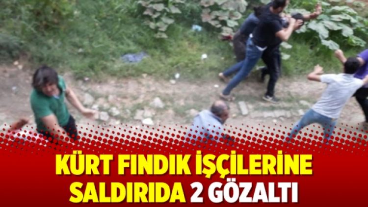 Kürt fındık işçilerine saldırıda 2 gözaltı