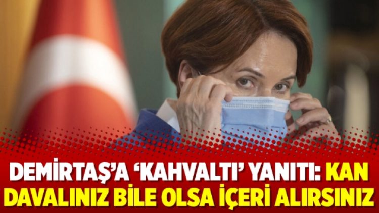 Demirtaş’a ‘kahvaltı’ yanıtı: Kan davalınız bile olsa içeri alırsınız