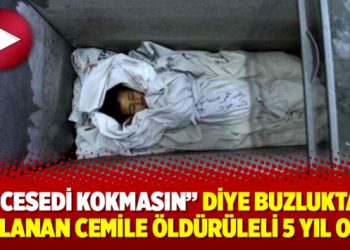 “Cesedi kokmasın” diye buzlukta saklanan Cemile öldürüleli 5 yıl oldu