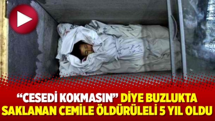 “Cesedi kokmasın” diye buzlukta saklanan Cemile öldürüleli 5 yıl oldu