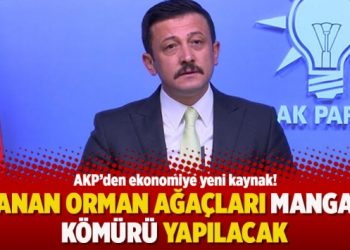 AKP’den ekonomiye yeni kaynak: Yanan orman ağaçları mangal kömürü yapılacak