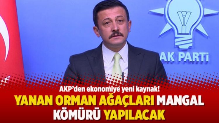 AKP’den ekonomiye yeni kaynak: Yanan orman ağaçları mangal kömürü yapılacak