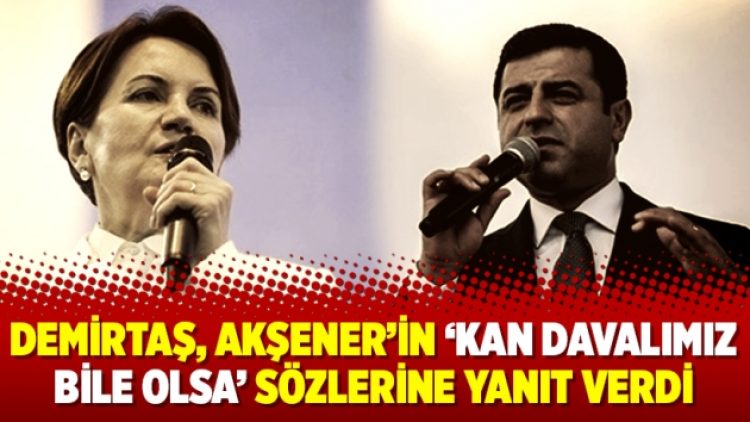 Demirtaş, Akşener’in ‘kan davalımız bile olsa’ sözlerine yanıt verdi